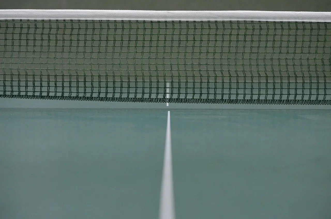 Bordtennisbord set fra midten med net og midterlinje
